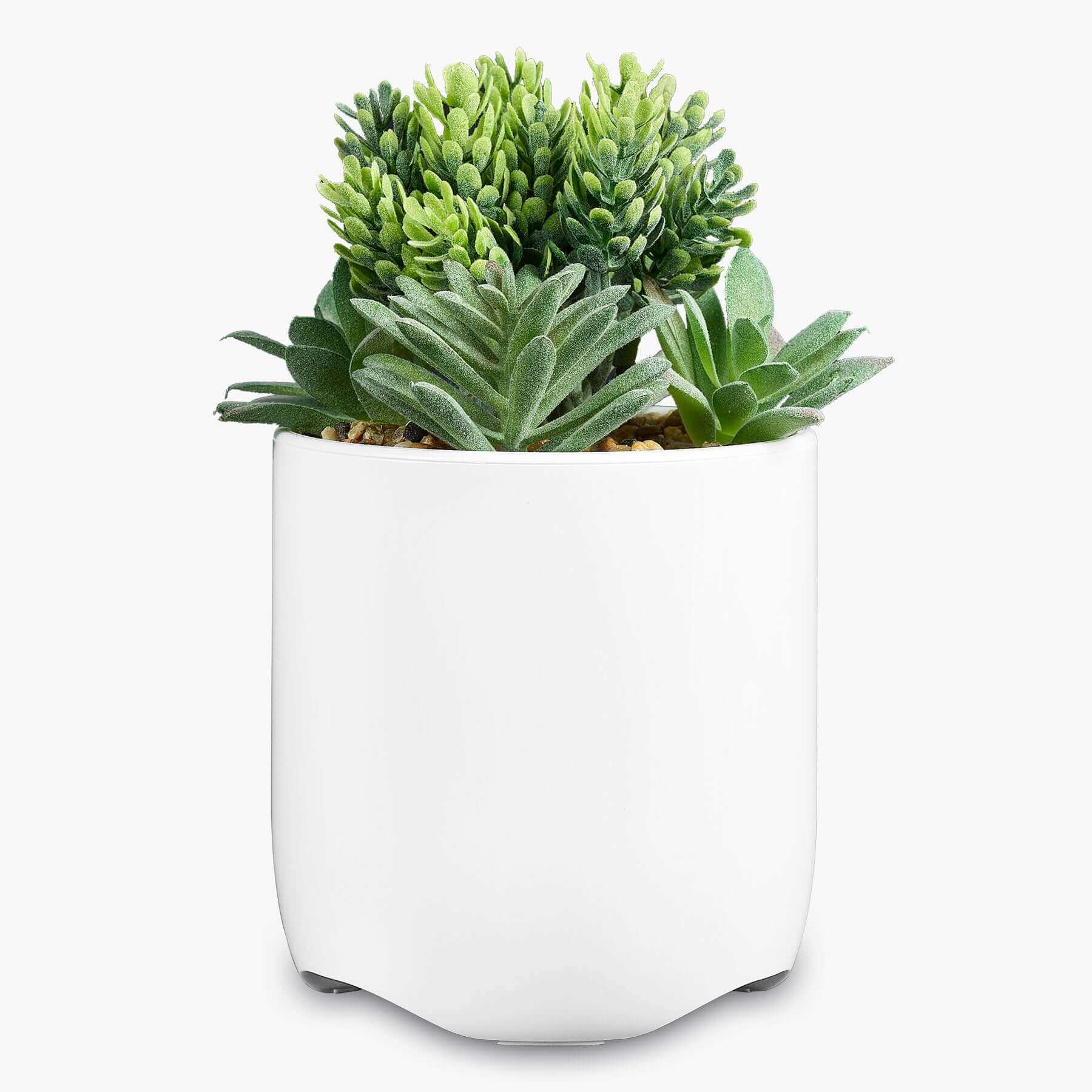 Power Plant Faux Succulent with USB Charging Station for iPhone, Android, and Samsung – White (iPP45) - Image 4